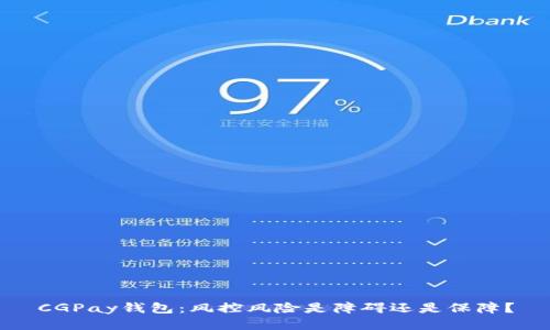 CGPay钱包:风控风险是障碍还是保障?