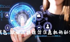 兔子钱包：破解区块链信