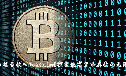 狗狗币能否放入Tokenim？探索数字货币存放的无限可能！