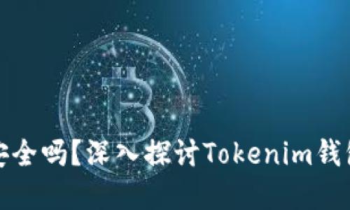 您的数字资产安全吗？深入探讨Tokenim钱包联网的安全性