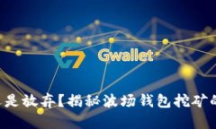 坚持还是放弃？揭秘波场