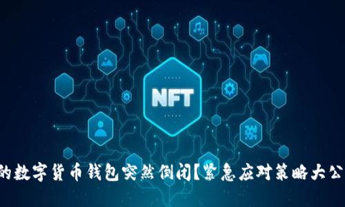你的数字货币钱包突然倒闭?紧急应对策略大公开!