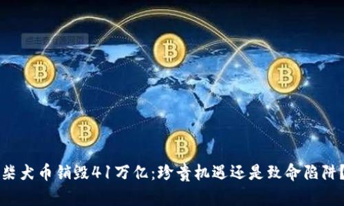 柴犬币销毁41万亿:珍贵机遇还是致命陷阱?