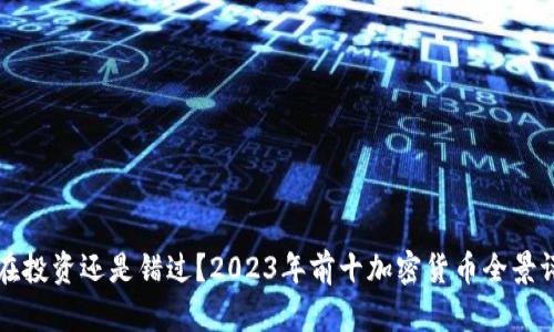 现在投资还是错过?2023年前十加密货币全景评析
