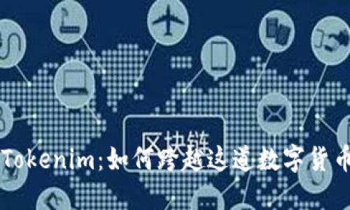 从Dot到Tokenim：如何跨越这道数字货币的鸿沟？