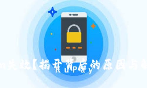 Tokenim失效？揭开背后的原因与解决方案