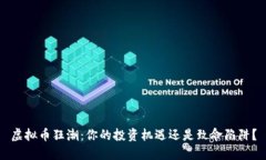 虚拟币狂潮：你的投资机