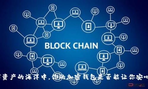 在数字资产的海洋中,你的加密钱包是否能让你安心畅游?