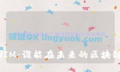 GTTOKEN与TOKENIM：谁能在未来