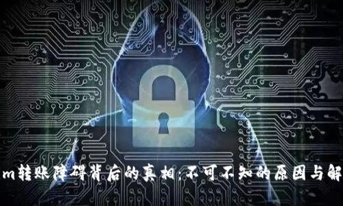 Tokenim转账障碍背后的真相:不可不知的原因与解决方案