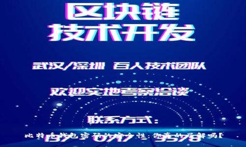 比特币钱包密码的安全性:你真的了解吗?