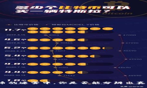 在数字货币的迷雾中，你是否能分辨出真正的财富？