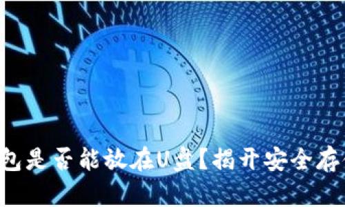 比特币钱包是否能放在U盘？揭开安全存储的真相！