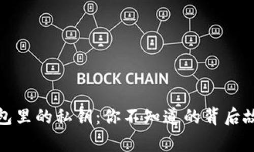 加密货币冷钱包里的私钥：你不知道的背后故事与保护技巧