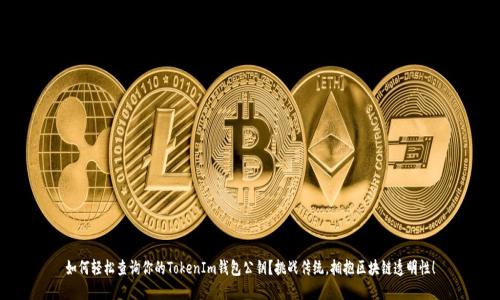 如何轻松查询你的TokenIm钱包公钥？挑战传统，拥抱区块链透明性！