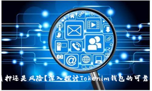 质押还是风险?深入探讨Tokenim钱包的可靠性