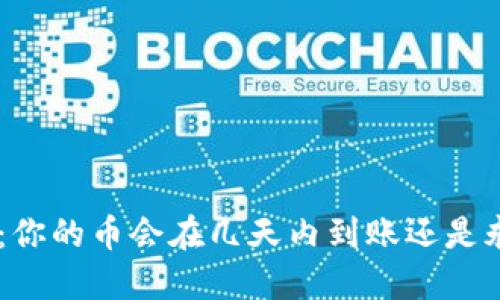 Tokenim：你的币会在几天内到账还是永远不见？