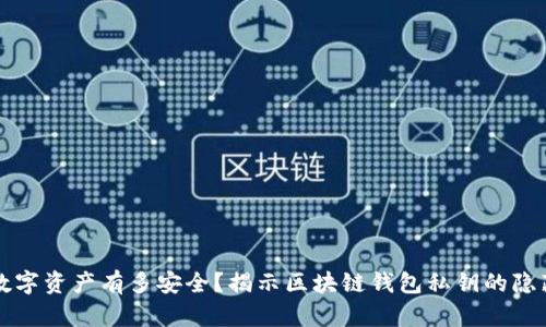 你的数字资产有多安全?揭示区块链钱包私钥的隐藏力量