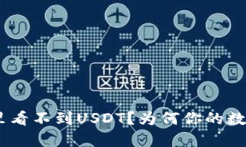 Tokenim账户里看不到USDT？为何你的数字资产被隐藏！