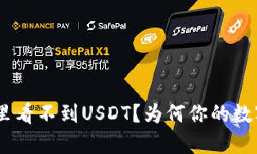 Tokenim账户里看不到USDT？为何你的数字资产被隐藏！