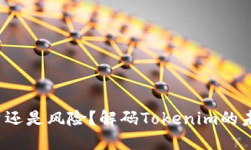 矿机投资还是风险？解码Tokenim的未来之路！