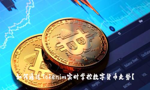 如何通过Tokenim实时掌控数字货币走势?