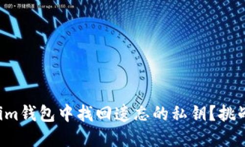 如何在Tokenim钱包中找回遗忘的私钥？挑战与解决方案！