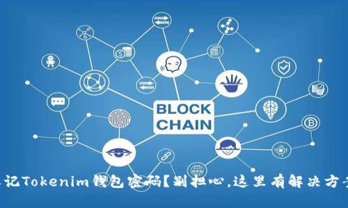 忘记Tokenim钱包密码？别担心，这里有解决方案！