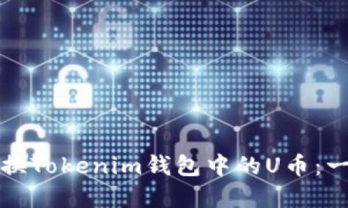 如何轻松转换Tokenim钱包中的U币：一个实用指南
