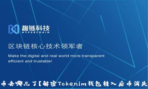 你的币去哪儿了?解密Tokenim钱包转入后币消失之谜