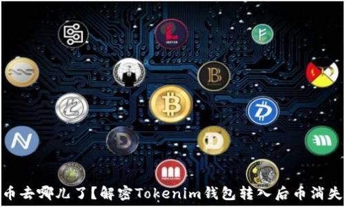 你的币去哪儿了?解密Tokenim钱包转入后币消失之谜
