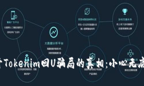 揭开Tokenim回U骗局的真相:小心无底洞!