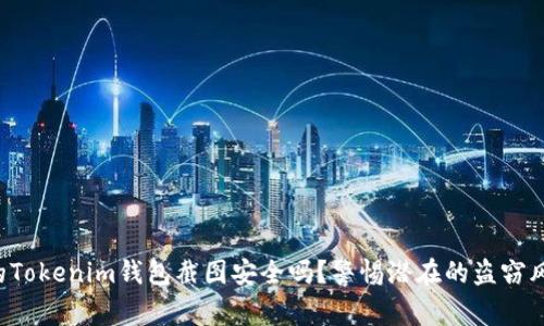 你的Tokenim钱包截图安全吗?警惕潜在的盗窃风险!