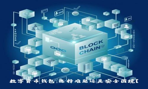 数字货币钱包:选择难题还是安全困境?