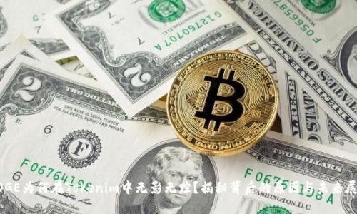 DOGE为何在Tokenim中无影无踪？揭秘背后的原因与未来展望