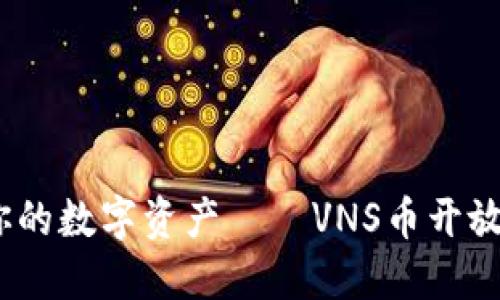 突破限制，掌控你的数字资产——VNS币开放钱包的全面指南