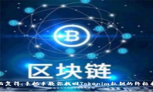 失而复得:手把手教你找回Tokenim私钥的终极指南