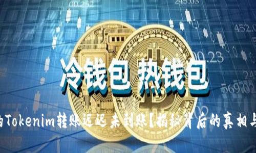 为什么你的Tokenim转账迟迟未到账?揭秘背后的真相与解决之道!