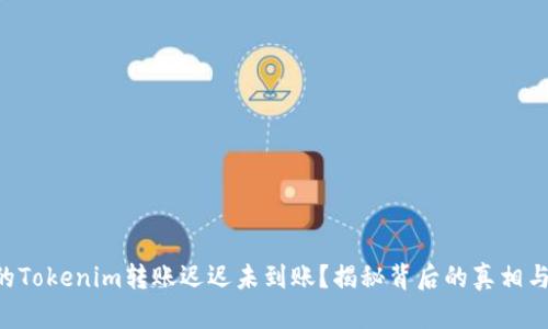 为什么你的Tokenim转账迟迟未到账?揭秘背后的真相与解决之道!