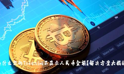 为什么你的Tokenim不显示人民币金额？解决方案大揭秘！