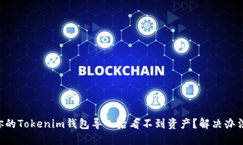 为什么你的Tokenim钱包导入后看不到资产？解决办法在这里！