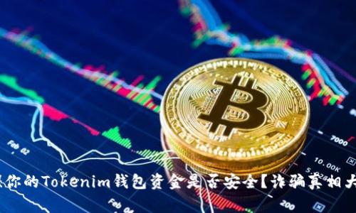 警惕！你的Tokenim钱包资金是否安全？诈骗真相大揭秘