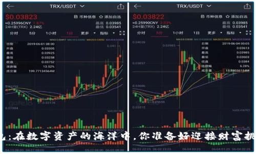 糖果钱包：在数字资产的海洋中，你准备好迎接财富挑战了吗？