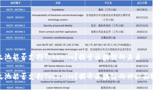 火池能否支持Tokenim？探索区块链的未来

火池能否支持Tokenim？揭开区块链的神秘面纱