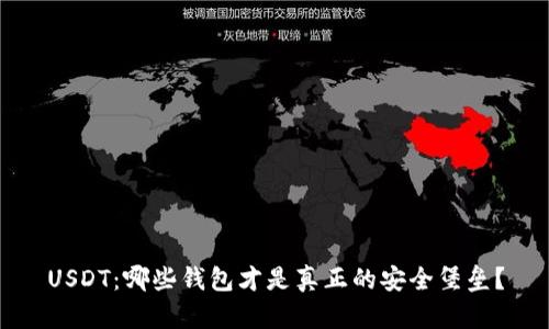 USDT：哪些钱包才是真正的安全堡垒？