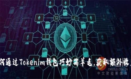 如何通过Tokenim钱包巧妙薅羊毛，获取额外收益？