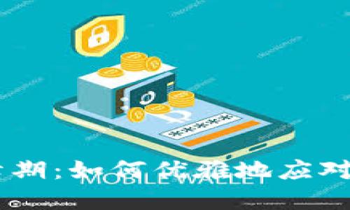 Tokenim高峰期：如何优雅地应对繁忙的时段？