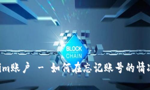 重拾你的Tokenim账户 - 如何在忘记账号的情况下找回控制权！