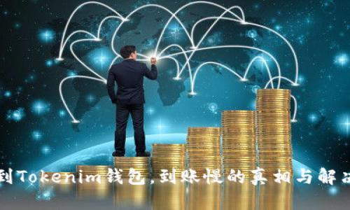 充币到Tokenim钱包，到账慢的真相与解决方案