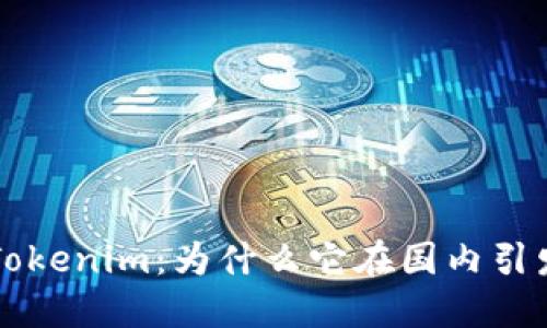 解密 Tokenim：为什么它在国内引发热潮？